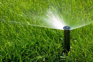 Watering Woes? Call Us for Quick Irrigation System Repair