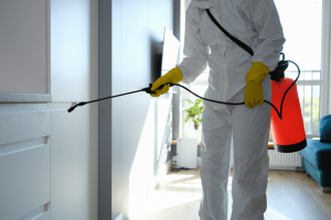Say Goodbye to Pests Essential Pest Control Measures for Homeowners