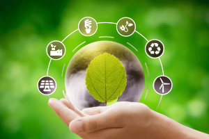 Sustainability Living Ideas to Transform Your Everyday Life
